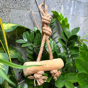 Juguete Ecológico para Perros de Madera de Café, Resistente, Recargable, Flexible, Moderno y Clásico, para Todas las Razas de Perros, en Caja - Product Image 6