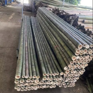 Heavy Duty Bamboo <b>Pole</b> Strong and Durable <b>for</b> Outdoor Projects - Product Image 1