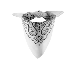 Cache-cou multifonctionnel unisexe en coton imprimé paisley, sans couture, pour l'extérieur, utilisable comme bandana, écharpe ou masque. - Product Image 1