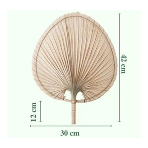 Éventail décoratif en feuilles de palmier, fabriqué à la main au Vietnam, produit tissé écologique pour la décoration des hôtels, des centres de villégiature et des cafés - Product Image 6