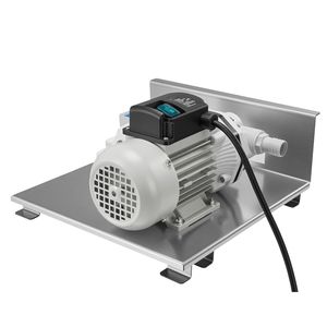 Kit de pompe de transfert DEF 110V 10,5 GPM, pompe à eau électrique à membrane auto-amorçante pour systèmes d'irrigation agricole, montage B pour diesel - Product Image 1
