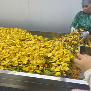 Vegetales Mixtos Secos de Vietnam de Alta Calidad para Procesamiento Industrial de Alimentos y Suministro al por Mayor de Snacks de 99 Gold Data - Product Image 1