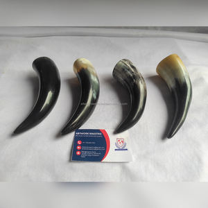 Ultimate Norse Viking Inspired <b>Drinking</b> <b>Horn</b> 100% Genuine Buffalo Ox <b>Horn</b> For A True Medieval Feel While <b>Drinking</b> Mead Or Beer - Product Image 1