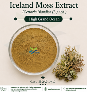HGO Factory Direct Supply Iceland Moss Extract (Cetraria islandica (L.) Ach.) Food Grade Ratio 4:1 5:1 10:1 20:1 100:1 200:1 - Product Image 1