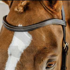 Ensemble de bridons en cuir pour chevaux, équipement traditionnel d'équitation, bridons d'équitation en gros, bridons Annabelle. - Product Image 3