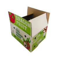 Boîte d'emballage d'expédition en papier ondulé pour fruit du dragon, matériaux recyclés OEM, rectangulaire, 40*30.5*21.5cm, design pliable, flexographie