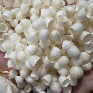 Selected Silk Cocoon Cotton For Textile <b>Mills</b> From Vietnam For Wholesale Luxury Cloth Production Lines 99 Gold Data - Product Image 5