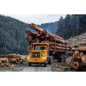 Bûches de bois dur naturel, bûches industrielles, bois robuste, idéal pour le lambris, les revêtements de sol et les applications industrielles du bois - Product Image 4