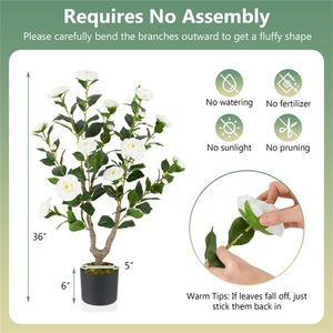 Set di 2 Alberi di Camelia Artificiali Bianchi, Piante Sempreverdi in Seta e Plastica per Esterni, Soggiorno, Ufficio, Feste, Dimensione 5m - Product Image 2