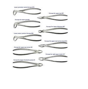 Stainless Steel Dental Surgery <b>tooth</b> extraction forceps all sizes and model available with CE Certified - Product Image 1