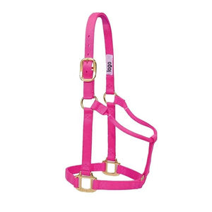 2026 Collier de tête pour cheval en nylon durable de haute qualité, personnalisé, style bride solide, service OEM - Product Image 6