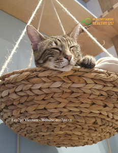 Espacio Natural Acogedor para Mascotas |   Cama para Mascotas Tejida a Mano con Jacinto de Agua |   OEM y Venta al por Mayor desde Vietnam - Product Image 6