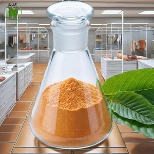 สินค้าขายดี ผงสกัดใบสมุนไพรไทย 7-OH MIT ออร์แกนิคบริสุทธิ์สูง 80% สารสกัด ปลูกแบบธรรมชาติ บรรจุภัณฑ์สุญญากาศ ประเทศไทย - Product Image 4