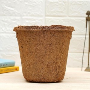 Maceta de fibra de coco para cultivo hidropónico, nutrientes para plantas, macetas de fibra de coco, suministros de jardinería sostenible - Product Image 6