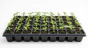 Plateau de pépinière rectangulaire en plastique, 50 alvéoles, trous de drainage, noir, réutilisable, non enduit, plateau de propagation personnalisé pour la germination des graines - Product Image 2