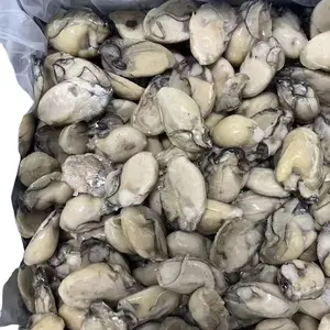 Viande d'huître crue congelée IQF Fournisseur de fruits de mer en vrac en gros