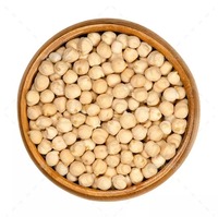 Produits agricoles de qualité supérieure : pois chiches jaunes séchés