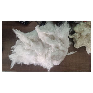 Fibre de coton naturelle brute et propre pour le filage, le traitement textile et la production de tissus - Product Image 6