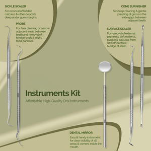 Kit de 6 Herramientas Dentales de Acero Inoxidable, Set de Limpieza Bucal con Removedor de Placa, Limpiador de Sarro, Espejo, Raspador de Lengua y Estuche - Product Image 3
