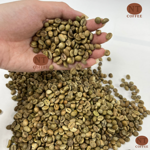 Granos de Café Robusta Crudo de Vietnam, Secado al Sol, Proceso Natural, Suministro a Granel Directo de Fábrica para Tostadores Internacionales - Product Image 2