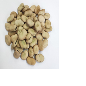 Fournisseur en gros de fèves de qualité supérieure, qualité alimentaire, stock disponible, meilleure qualité, service OEM, fabricant - Product Image 5