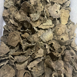 Incienso de Agarwood OEM, Varillas de Incienso de Madera de Agarwood Cultivada en Vietnam, Esencia Natural de Oud - ¡La Verdadera Esencia de la Naturaleza! - Product Image 1