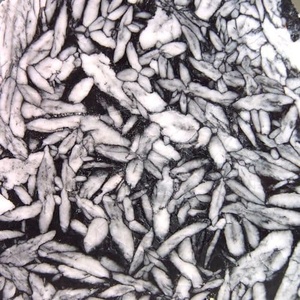 Pierre brute de pinolithe, pierre brute naturelle non polie, pierres de guérison, cristal, grossiste en pierres précieuses et cristaux - Product Image 4