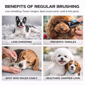 DC-1709 OEM Pet Dematting Rake <b>Brushes</b> Stainless Steel Undercoat Deshedding Tool <b>for</b> <b>Dogs</b> & Cats Custom Logo Wholesale - Product Image 5