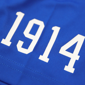 Camiseta Deportiva Phi Beta Sigma, Color Azul Rey, con Letras Griegas, de Secado Rápido, Absorbe la Humedad, Ropa Deportiva para Fraternidades - Product Image 6