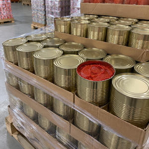Pasta de tomate enlatada a granel en latas de fácil almacenamiento con textura suave para mezclar en salsas y suministro a nivel mundial. - Product Image 1