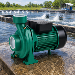 SnowFlake THF6C Centrifugal Water Pump1.5HP Single-Phase Electric Iron Body Flange Connection For Irrigation And Agriculture Use - Product Image 3