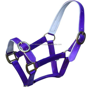 Licou de cheval multicolore enduit de PVC imperméable avec matériel en métal équipement d'équitation bride de licou de cheval - Product Image 1