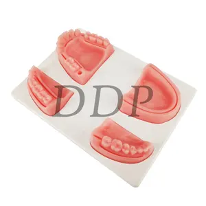 Dental Training Models Piel De Suture Dental Practice Pad Surgical Simulator Pad Teeth Practice Dental Suture Model