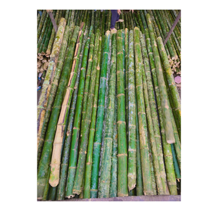 Barras de Bambú de Alta Demanda para Uso en Construcción y Agricultura - Product Image 1