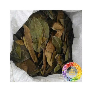 Feuilles de corossol séchées d'origine vietnamienne, soigneusement séchées pour l'industrie des tisanes, feuilles de corossol séchées de haute qualité en gros - Product Image 1
