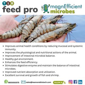Additifs booster de nutrition du poisson infusés de probiotiques à base d'aliments pour une santé optimale du poisson - Product Image 5