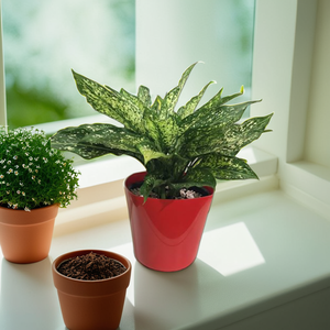 Maceta cuadrada de plástico de 18cm, maceta elegante y duradera para jardinería en interiores y exteriores, perfecta para flores, suculentas y verduras - Product Image 1