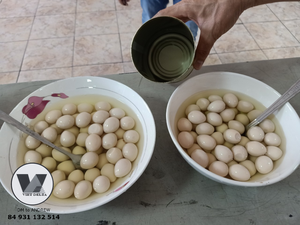 BEST SELLING Eco Safe 15oz Canned Quail <b>Eggs</b> in Brine Cooked Peeled Quail <b>Egg</b> Fast Prepare for Hotpot Ramen Soup Catering Menu - Product Image 6