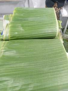 Feuilles de banane fraîches du Vietnam, qualité alimentaire, feuilles de banane vertes, fournisseur en gros pour l'emballage alimentaire, la cuisine et la restauration - Product Image 1