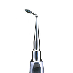 Instrument manuel compact en acier inoxydable avec poignée confortable et finition lisse pour usage professionnel, élévateur de racine - Product Image 2