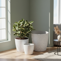 Pots et jardinières décoratifs modernes en plastique en forme d'olive, durables et légers, pour une utilisation en jardin