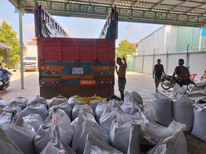 Grand emballage en vrac Graines de lotus séchées naturellement du Vietnam avec une durée de conservation de 12 mois pour usage culinaire et exportation agricole - Product Image 4