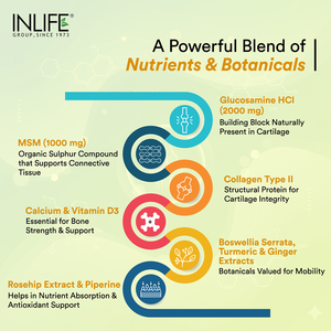 พรีเมี่ยม อินไลฟ์ กลูโคซามีน คอนดรอยติน เอ็มเอสเอ็ม คอลลาเจน ไทป์ทู ไฮยาลูโรนิก แอซิด วิตามินดี3 บอสเวลเลีย โรสฮิป เคอร์คูมิน แคลเซียม สำหรับผู้ใหญ่ - Product Image 2
