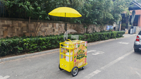 Chariot à glaces mobile, chariot alimentaire à pousser à la main pour l'extérieur, à vendre
