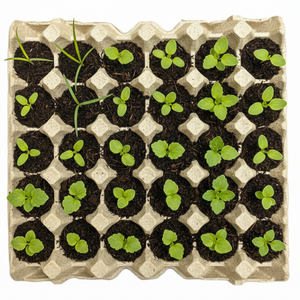 ถาดเพาะกล้าเยื่อกระดาษย่อยสลายได้เป็นมิตรกับสิ่งแวดล้อม เหมาะสำหรับใช้ในบ้าน การเกษตร และป่าไม้ - Product Image 1