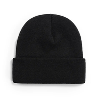 Bonnets en tricot sur mesure de haute qualité avec logo brodé tissé, prix de gros, service OEM, en vente