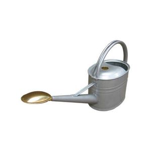 Arrosoir décoratif rustique en métal pour plantes d'intérieur, pot à eau de jardin avec long bec verseur et poignée - Product Image 3