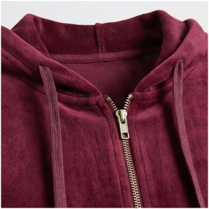 <b>Women</b> <b>Velvet</b> Hooded Tracksuit Full Length Zipper Sweatshirt Pants Set Solid Color Casual Autumn Wear - Product Image 4