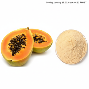 ผงมะละกออบแห้งแบบละเอียด บริสุทธิ์ ออร์แกนิค ปลอดสาร GMO ได้รับการรับรองฮาลาล/โคเชอร์/BRC สำหรับไอศกรีมสำเร็จรูป - Product Image 4