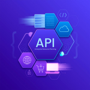 Servicio de Conectividad API Confiable para Aplicaciones Web y Soluciones de Integración de Plataformas, Flujo de Trabajo Personalizado para el Servidor Trasero - Product Image 2